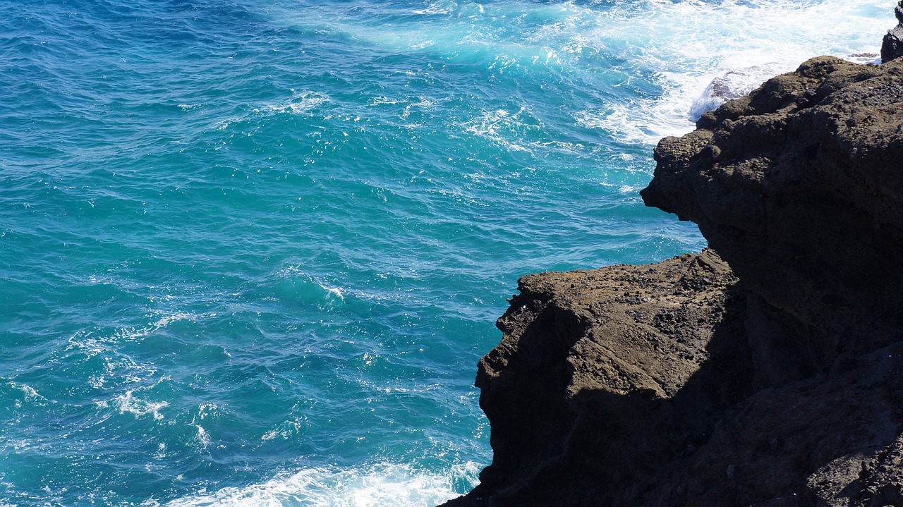 beach  ocean  blue free photo