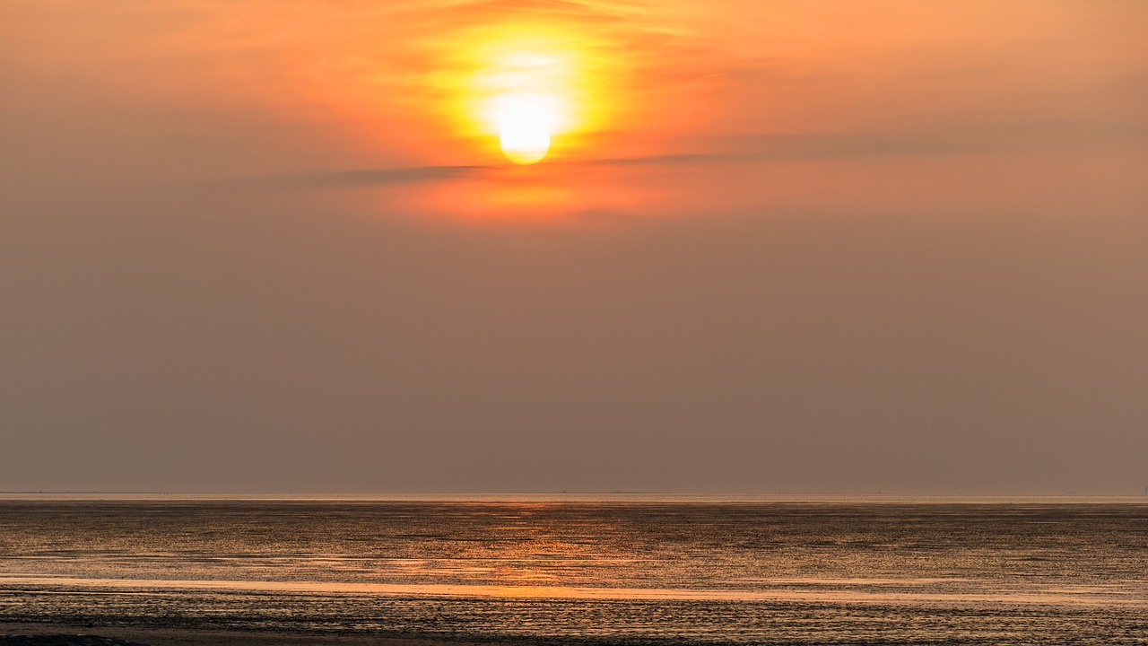 beach  watts  cuxhaven free photo