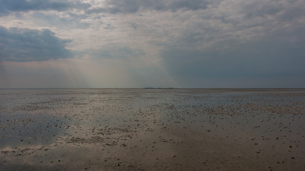 beach  watts  cuxhaven free photo