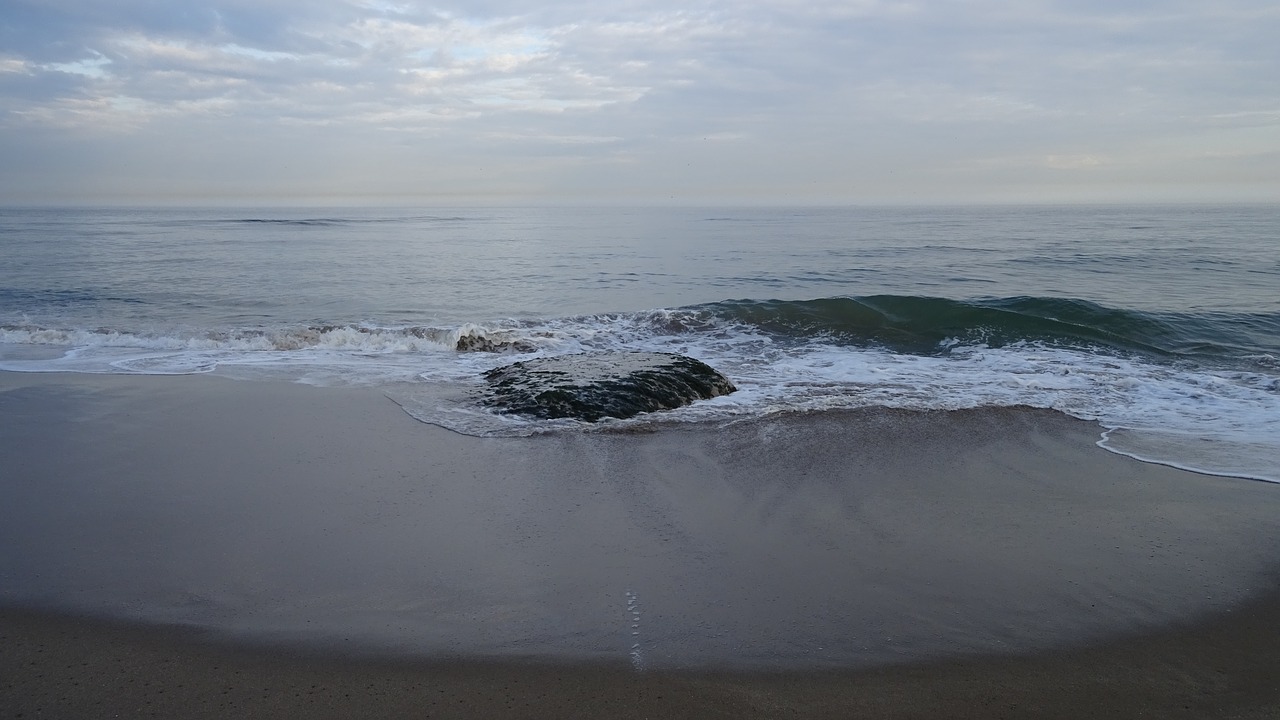 beach  sea  rock free photo