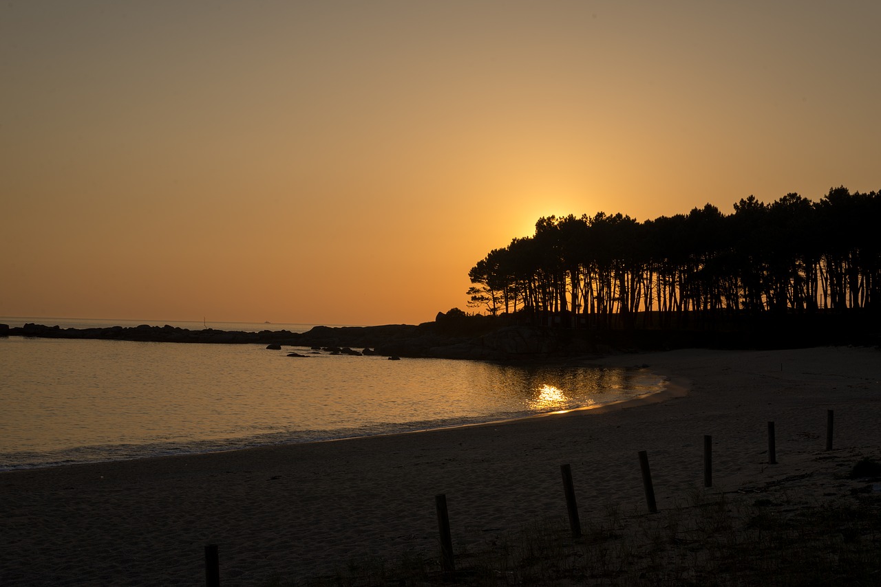 beach  sunset  landscape free photo