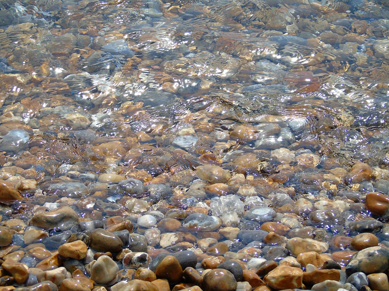 beach  pebble  sea free photo