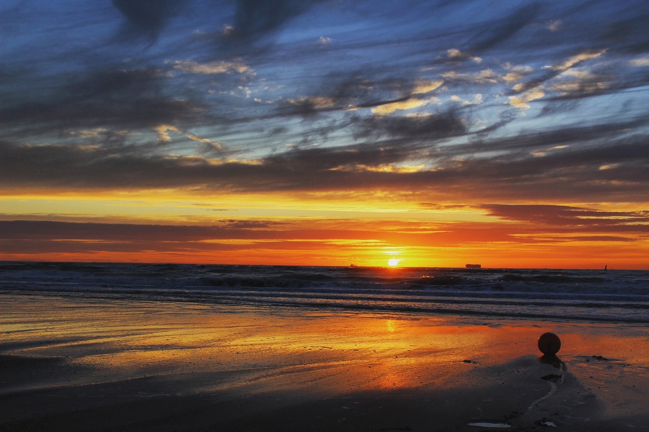 beach  holland  sea free photo