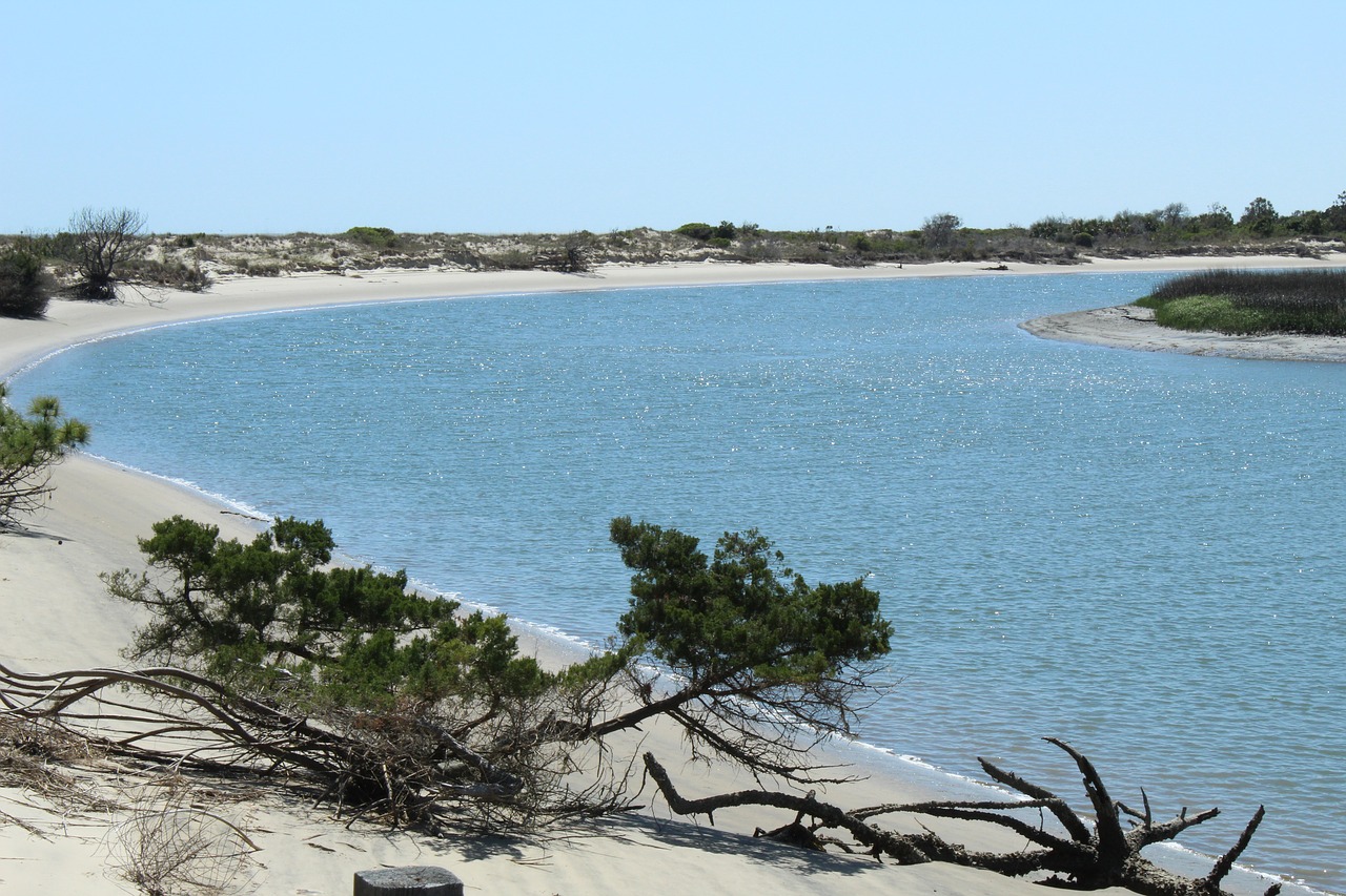 beach  coast  sea free photo