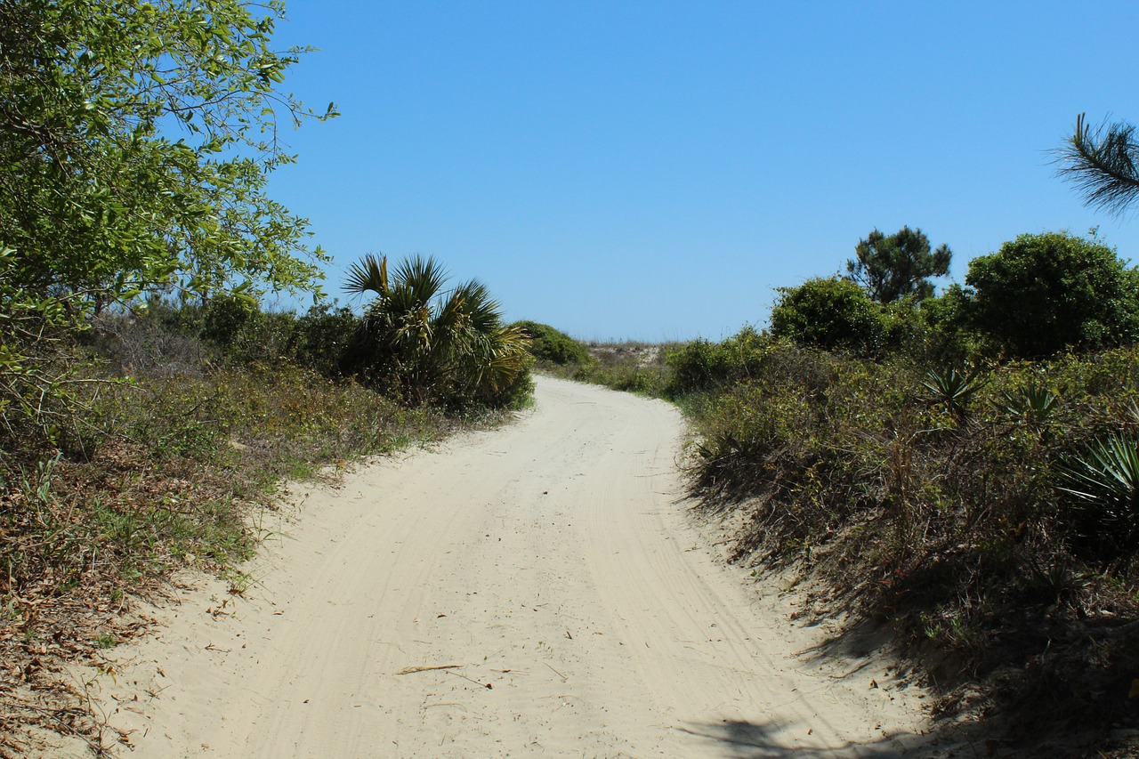 beach  coast  sand free photo