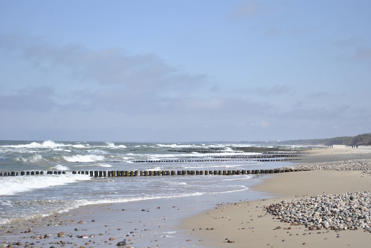 beach  sea  sand free photo