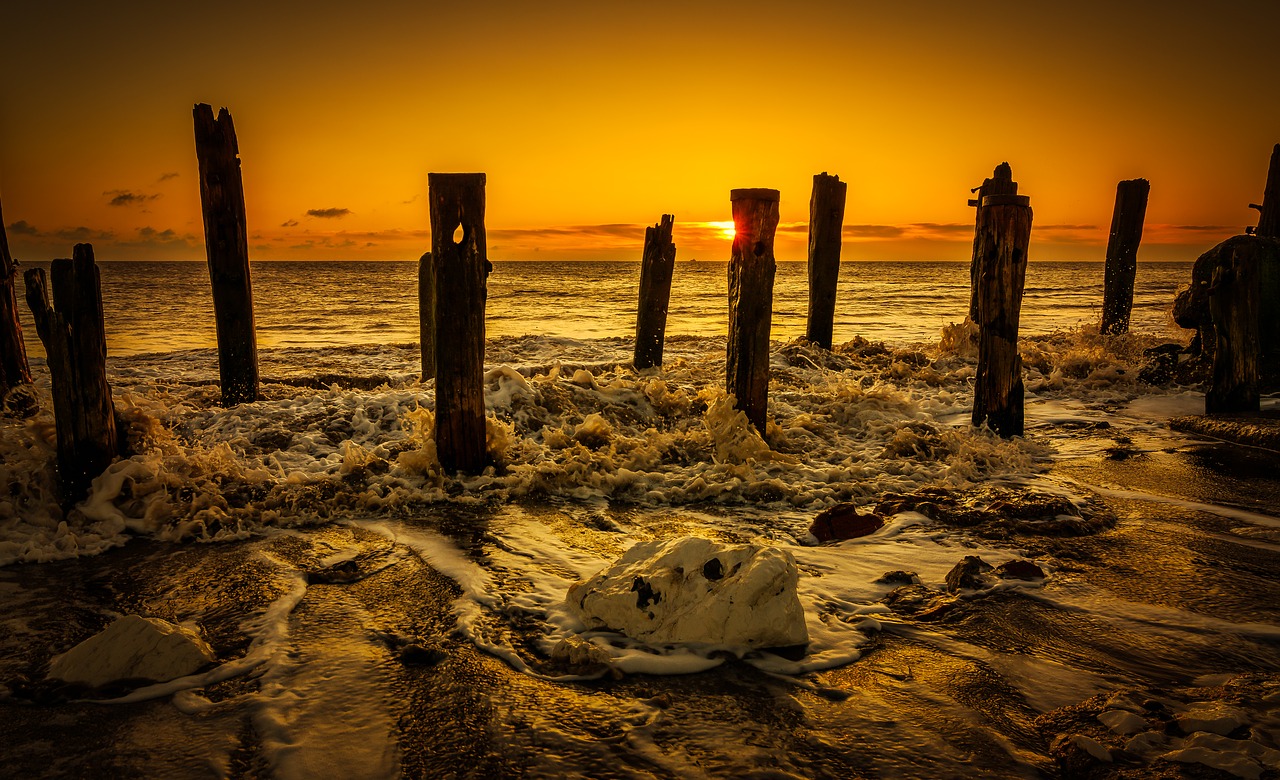 beach  coast  dawn free photo