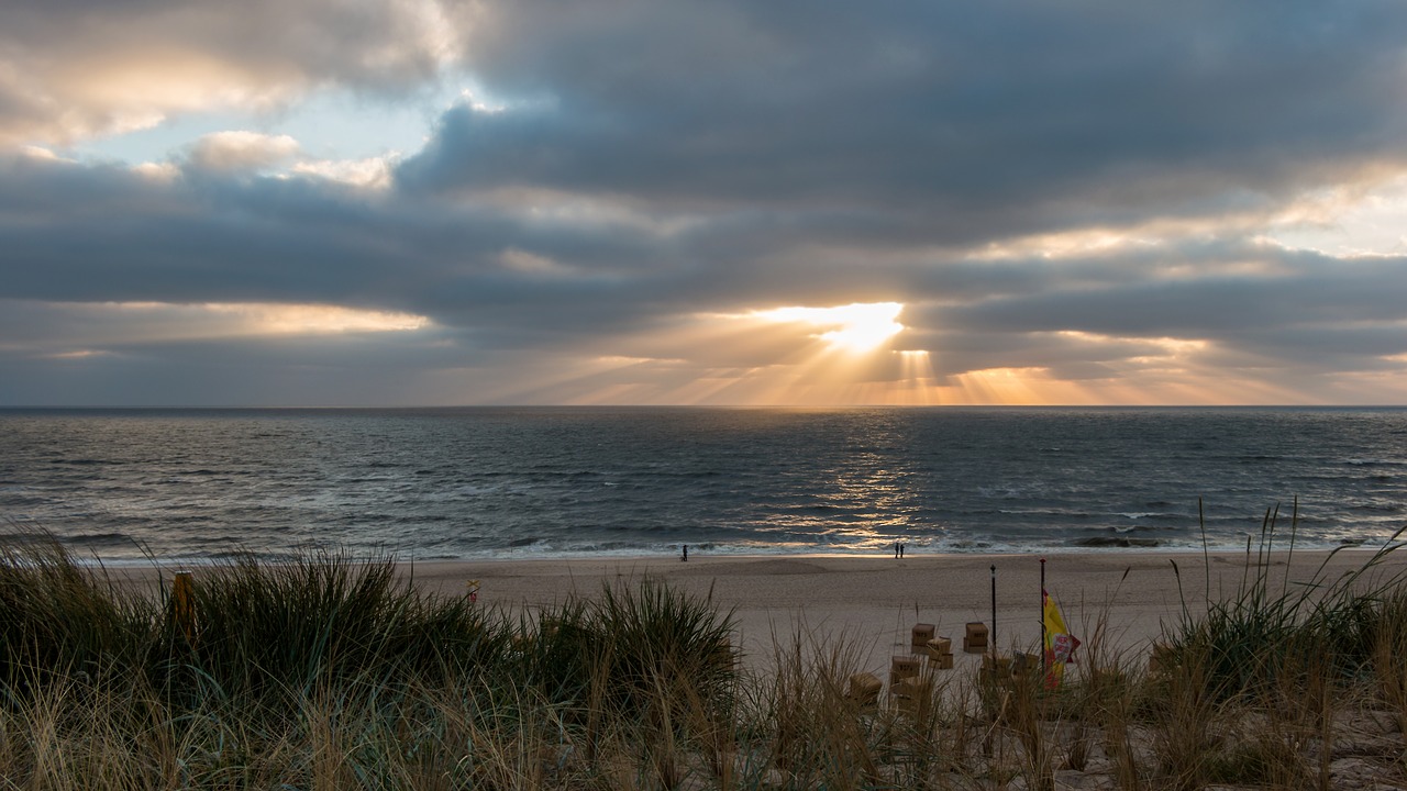 beach  water  sea free photo