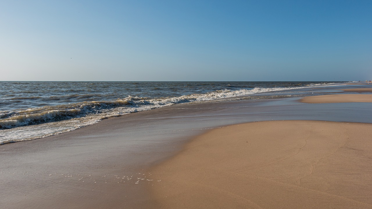 beach  water  sea free photo