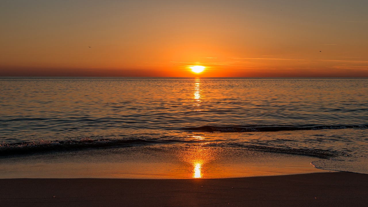 beach  water  sea free photo