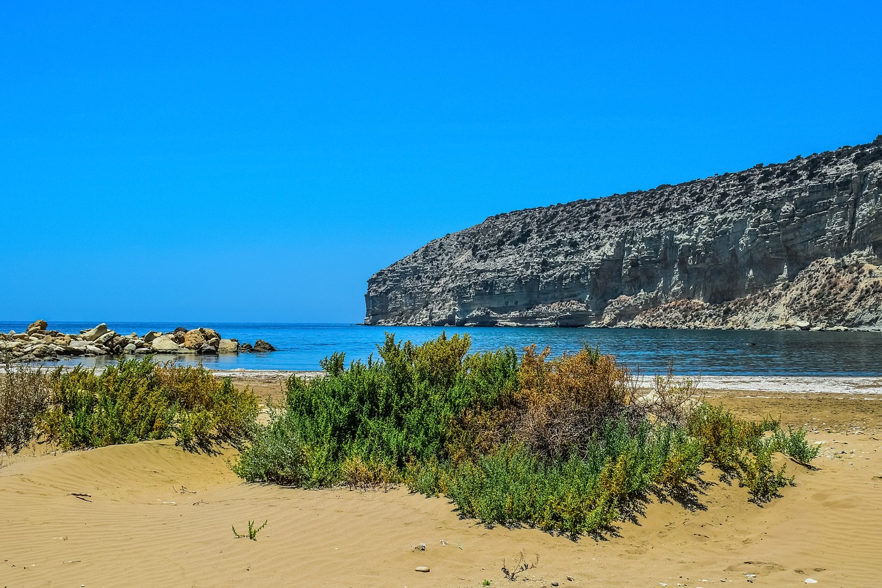 beach  cliffs  sea free photo