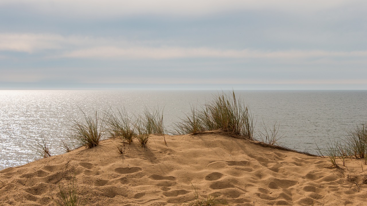 beach  dunes  sylt free photo