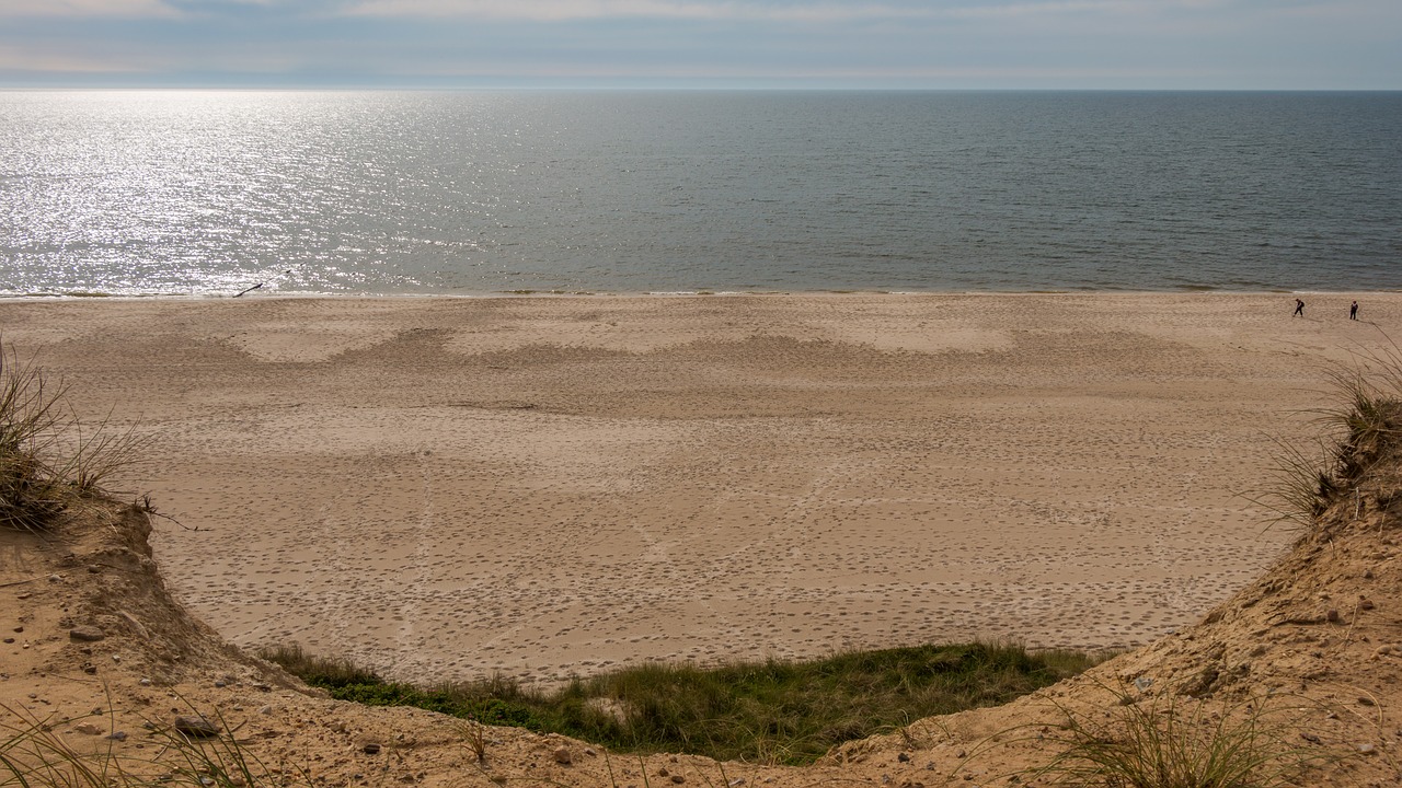 beach  dunes  sylt free photo