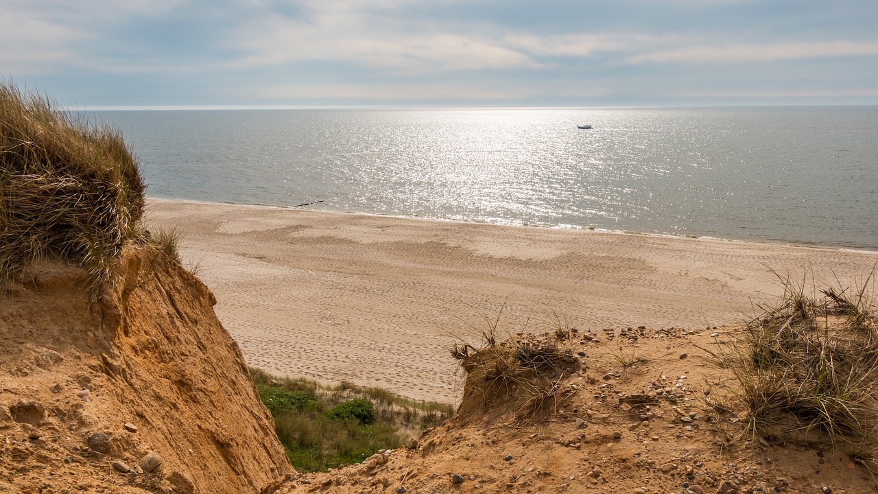 beach  dunes  sylt free photo