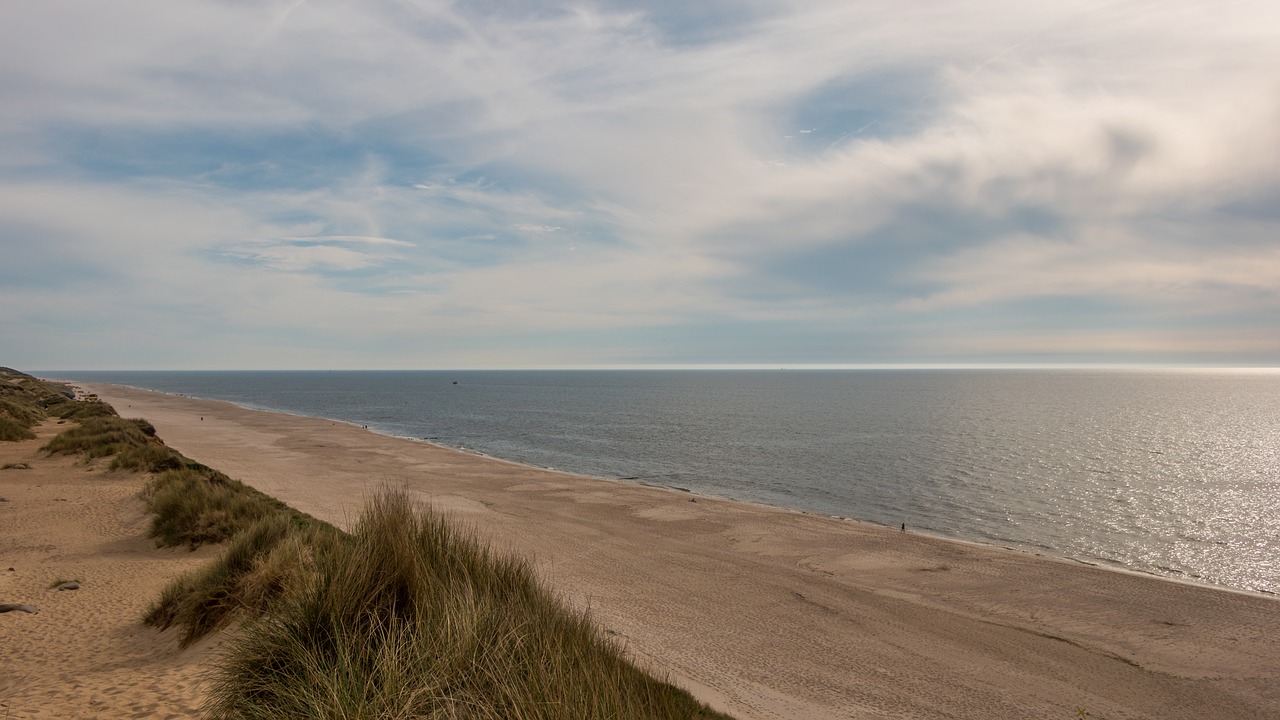 beach  dunes  sylt free photo