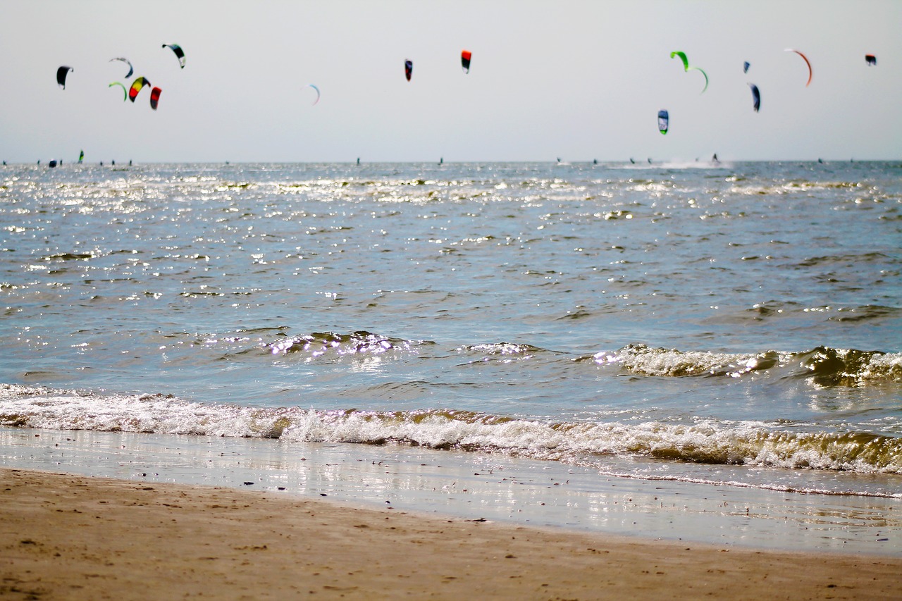 beach  kite  kite surfing free photo