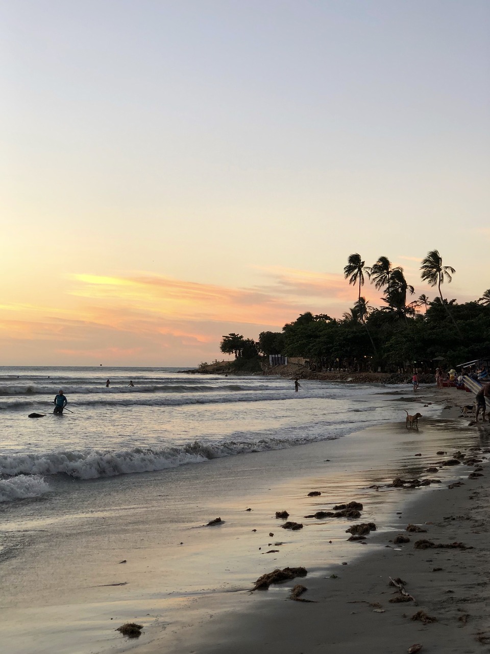 beach  water  sand free photo