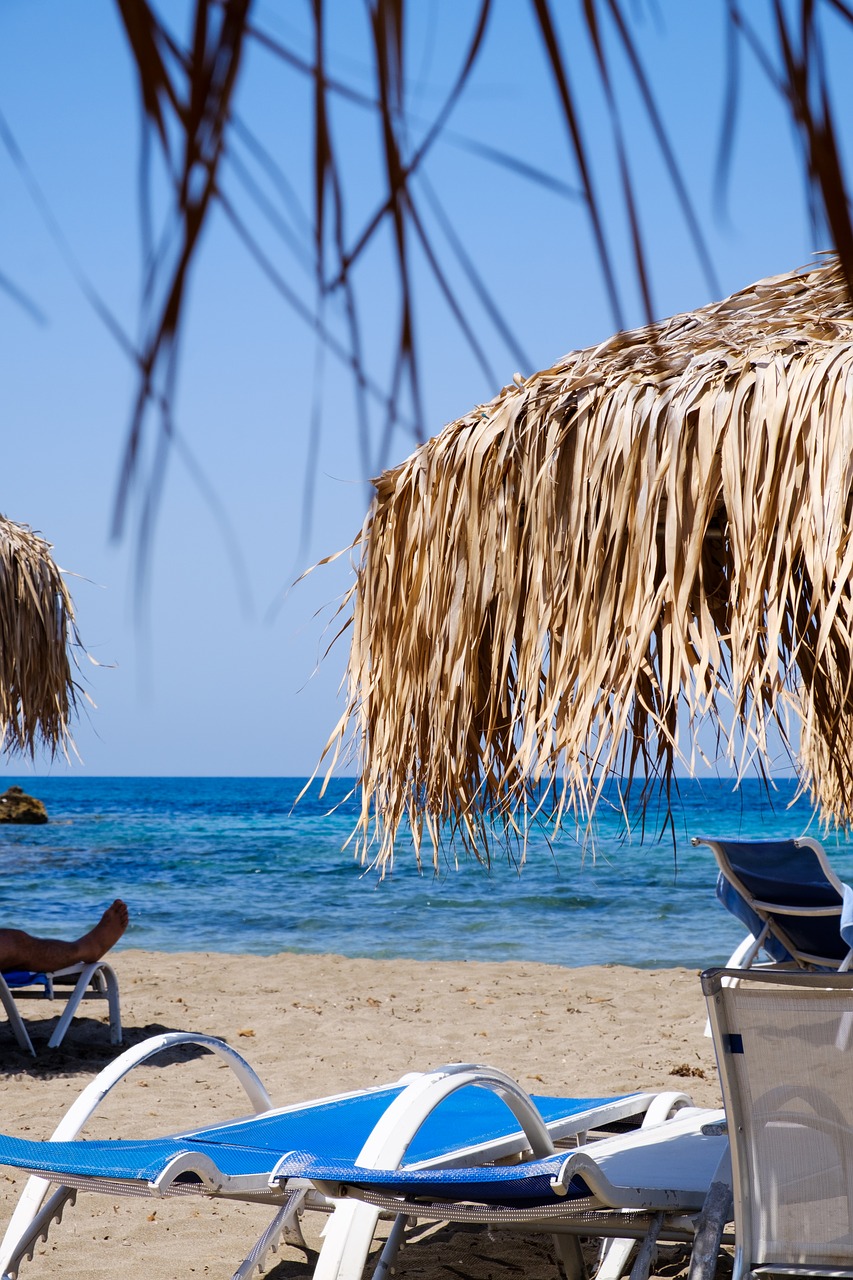 beach  water  parasol free photo