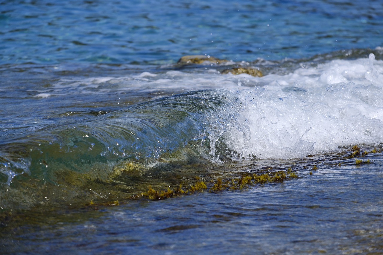 beach  water  sea free photo