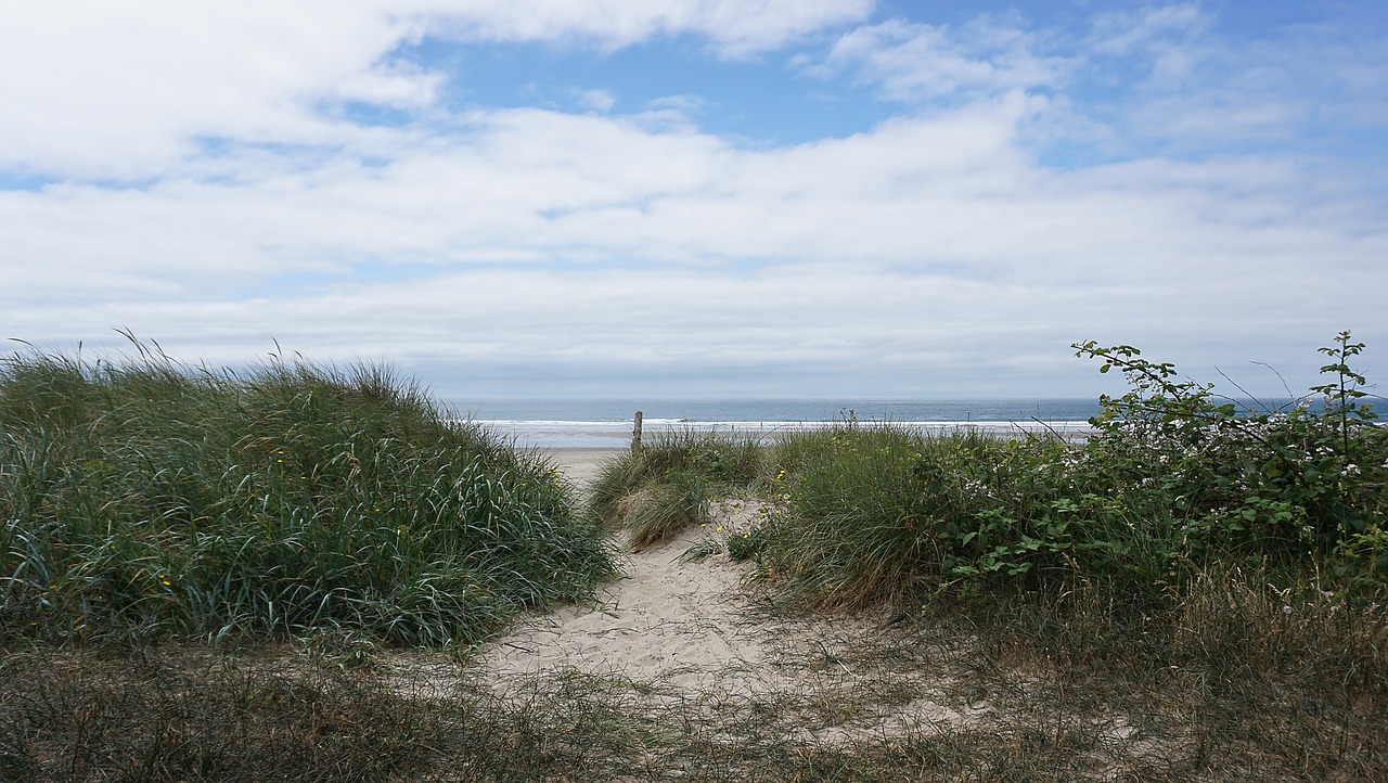 beach  sand  sky free photo