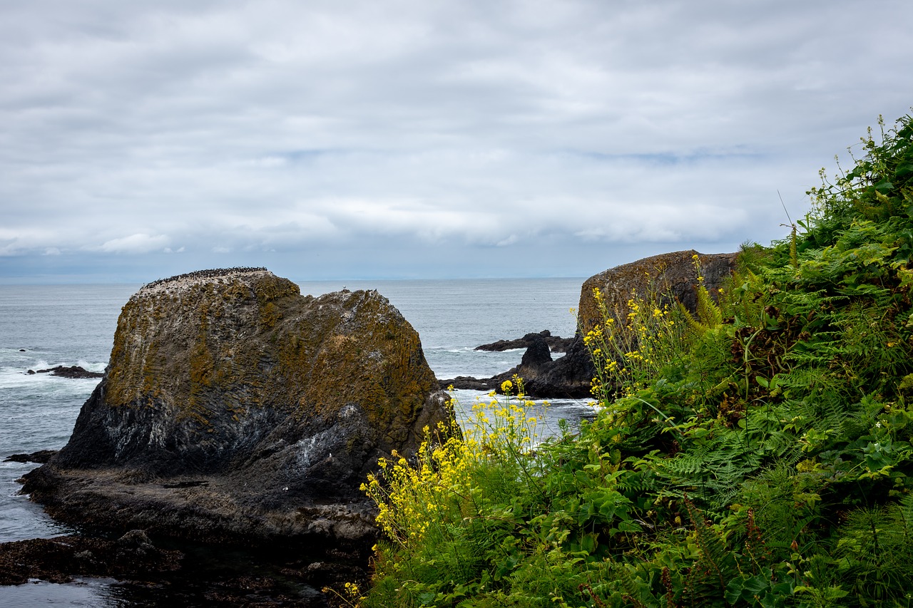 beach  nature  ocean free photo