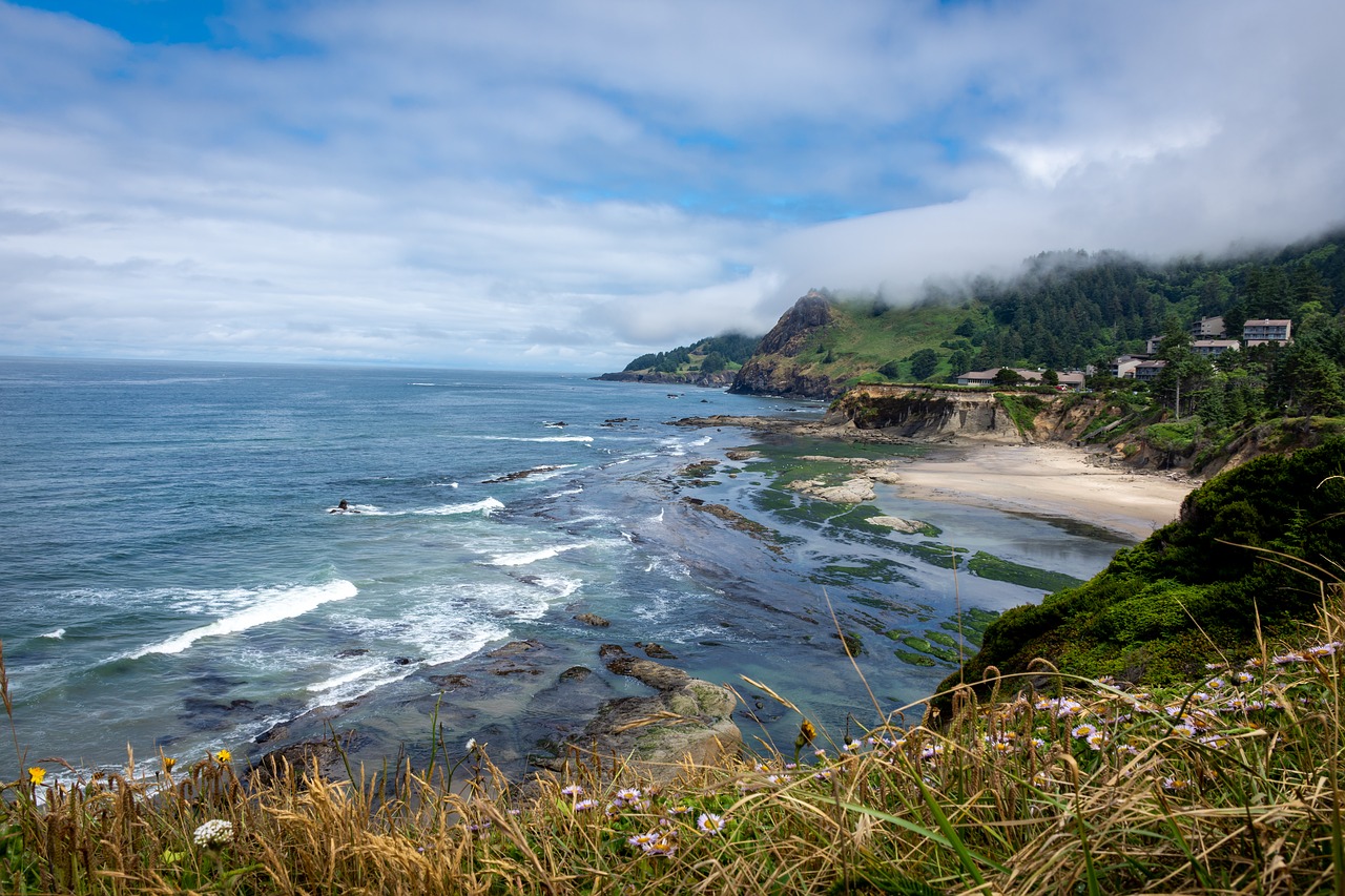 beach  ocean  flowers free photo