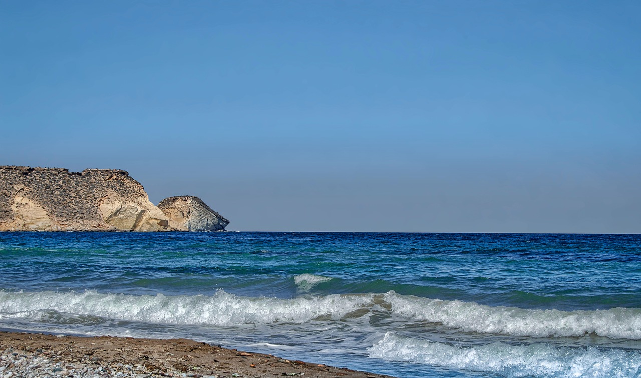 beach  sea  foam free photo