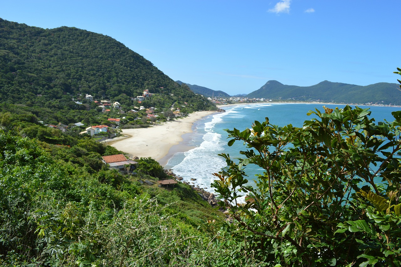 beach mar brazil free photo