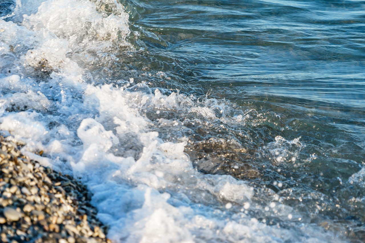 beach  pebbles  foam free photo