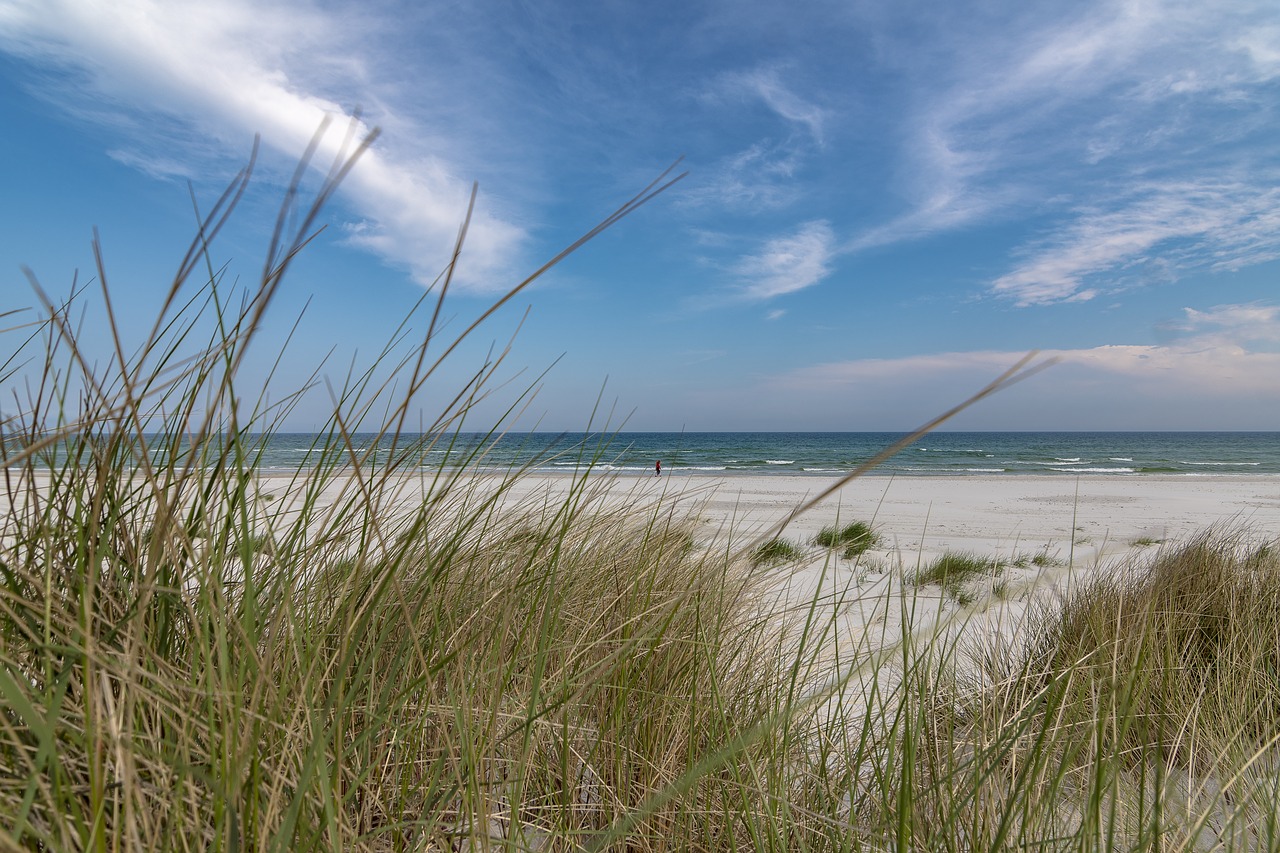 beach  dunes  water free photo