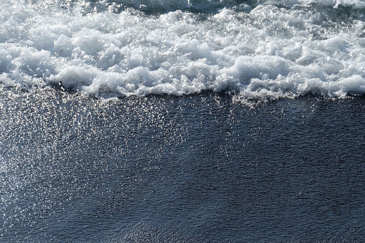 beach  water  sand free photo