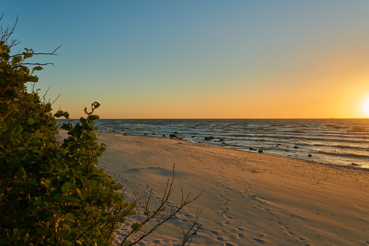 beach  rügen  sunset free photo