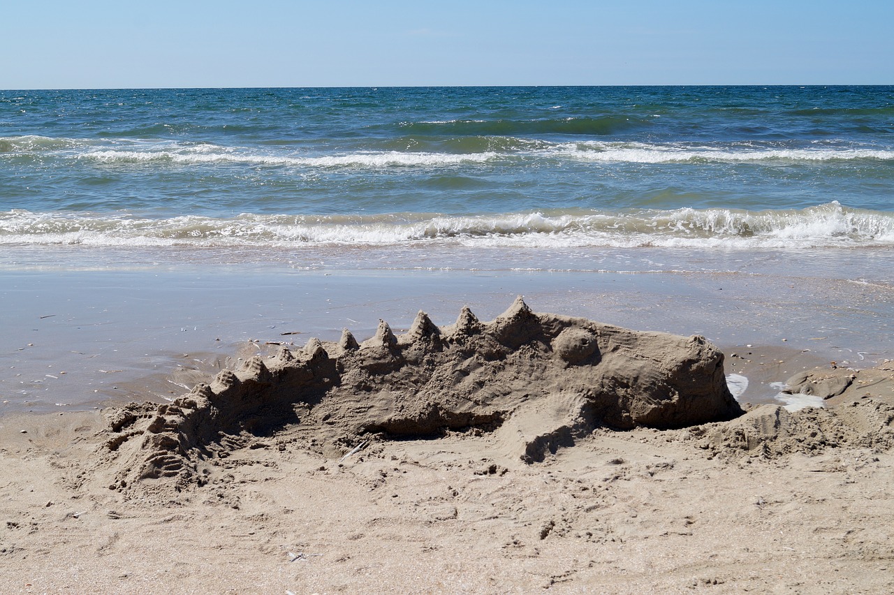 beach  sea  sand free photo