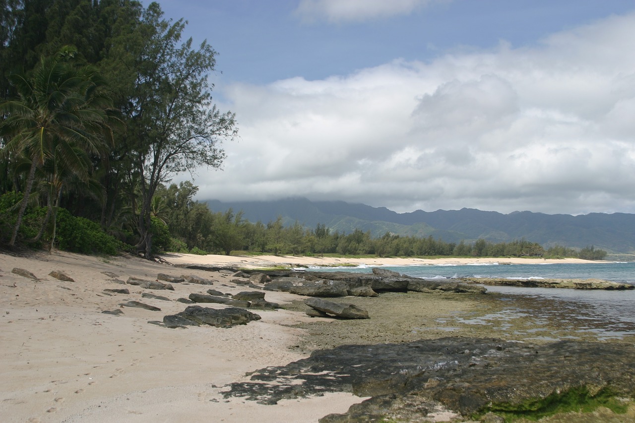 beach  ocean  sea free photo