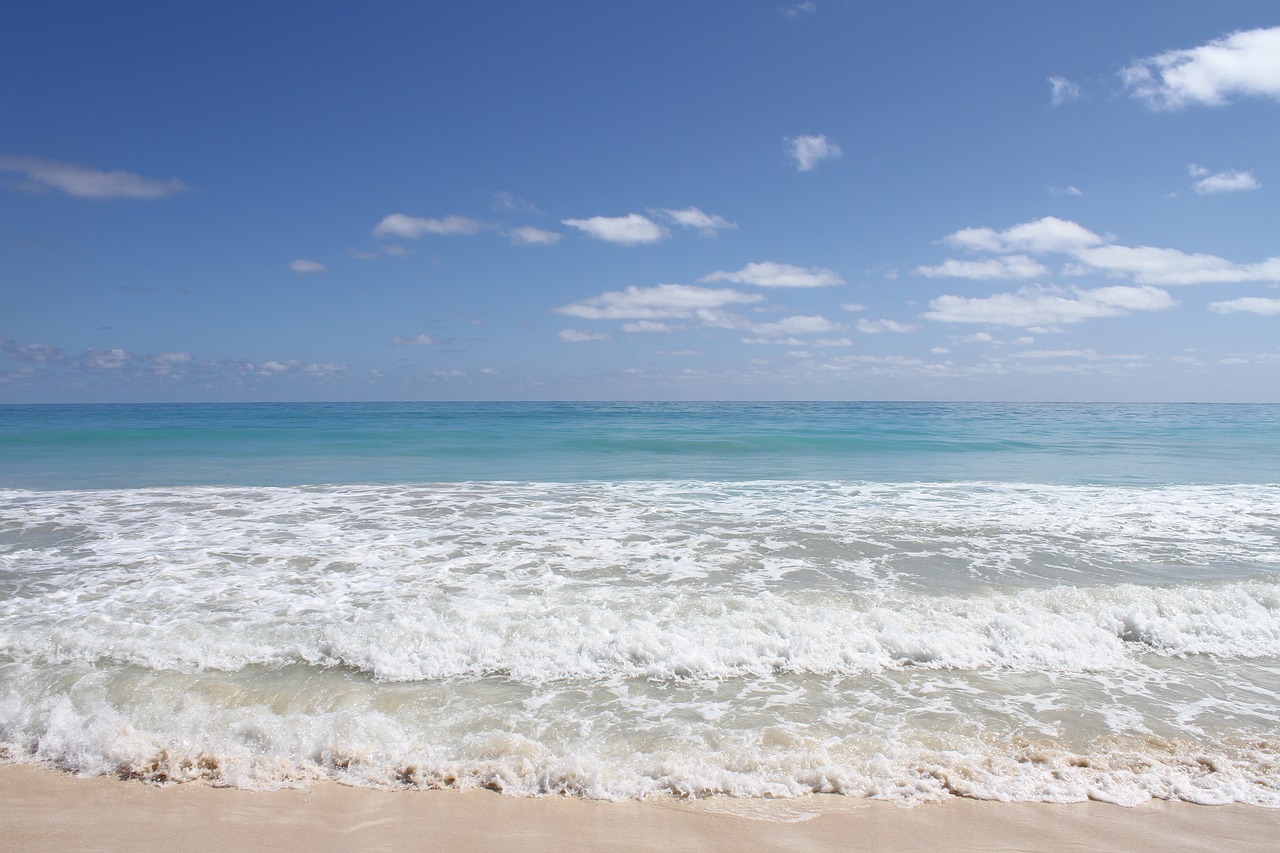 beach  hawaii  waikiki free photo