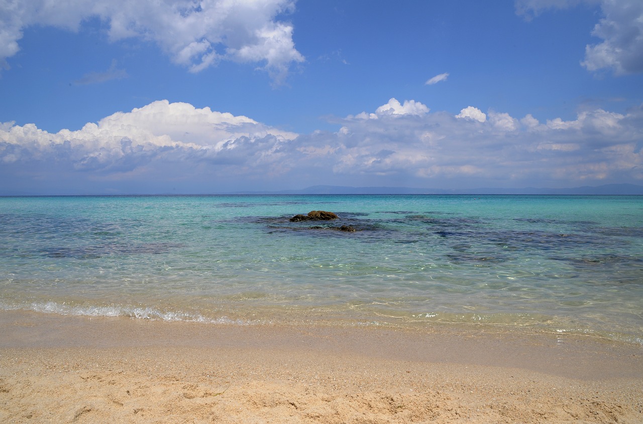 beach  sun  sea free photo