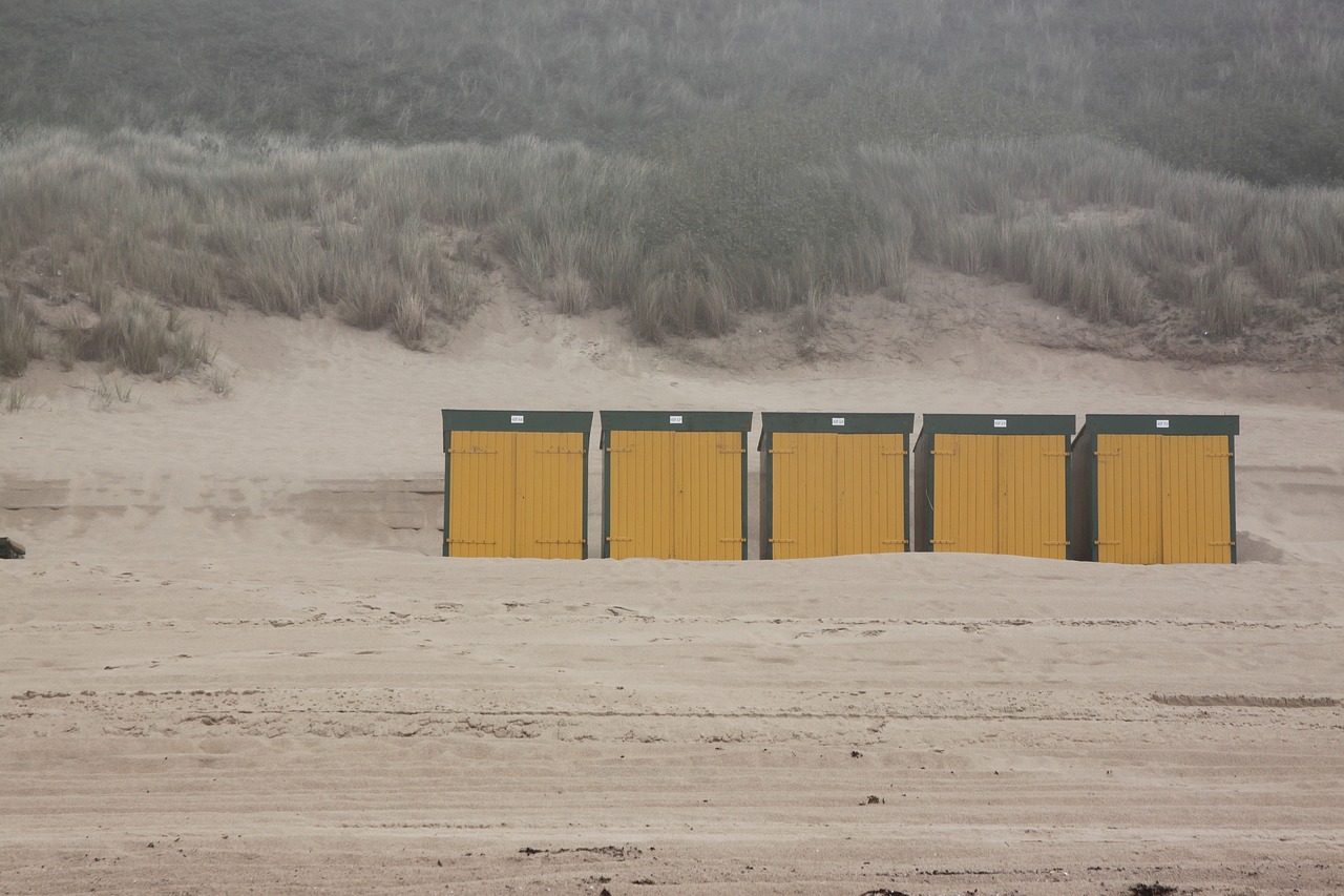 beach  dune  dunes free photo