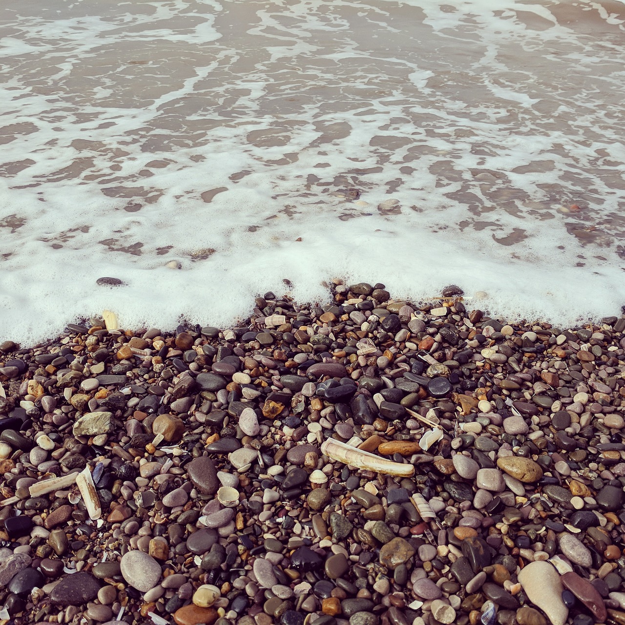 beach  wave  pebble free photo