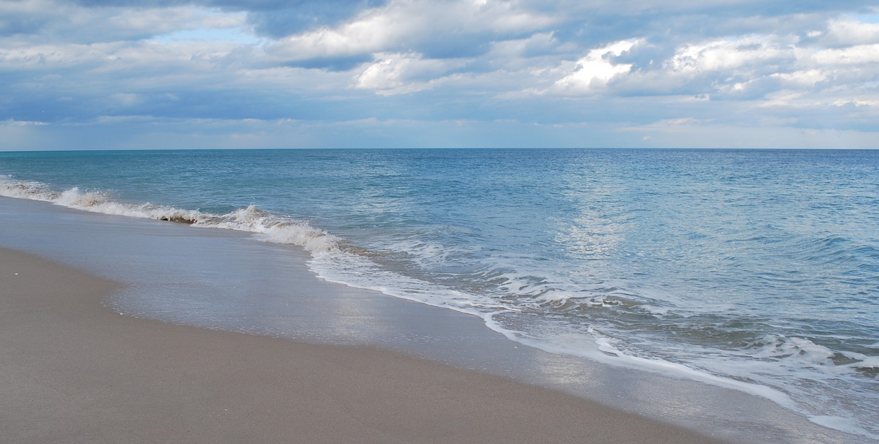 beach  sand  water free photo