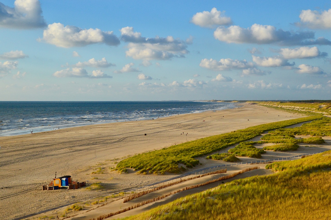 beach  water  sea free photo