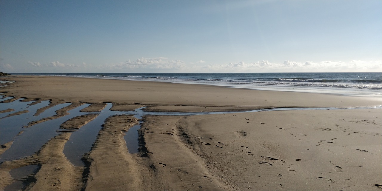 beach  ocean  sky free photo