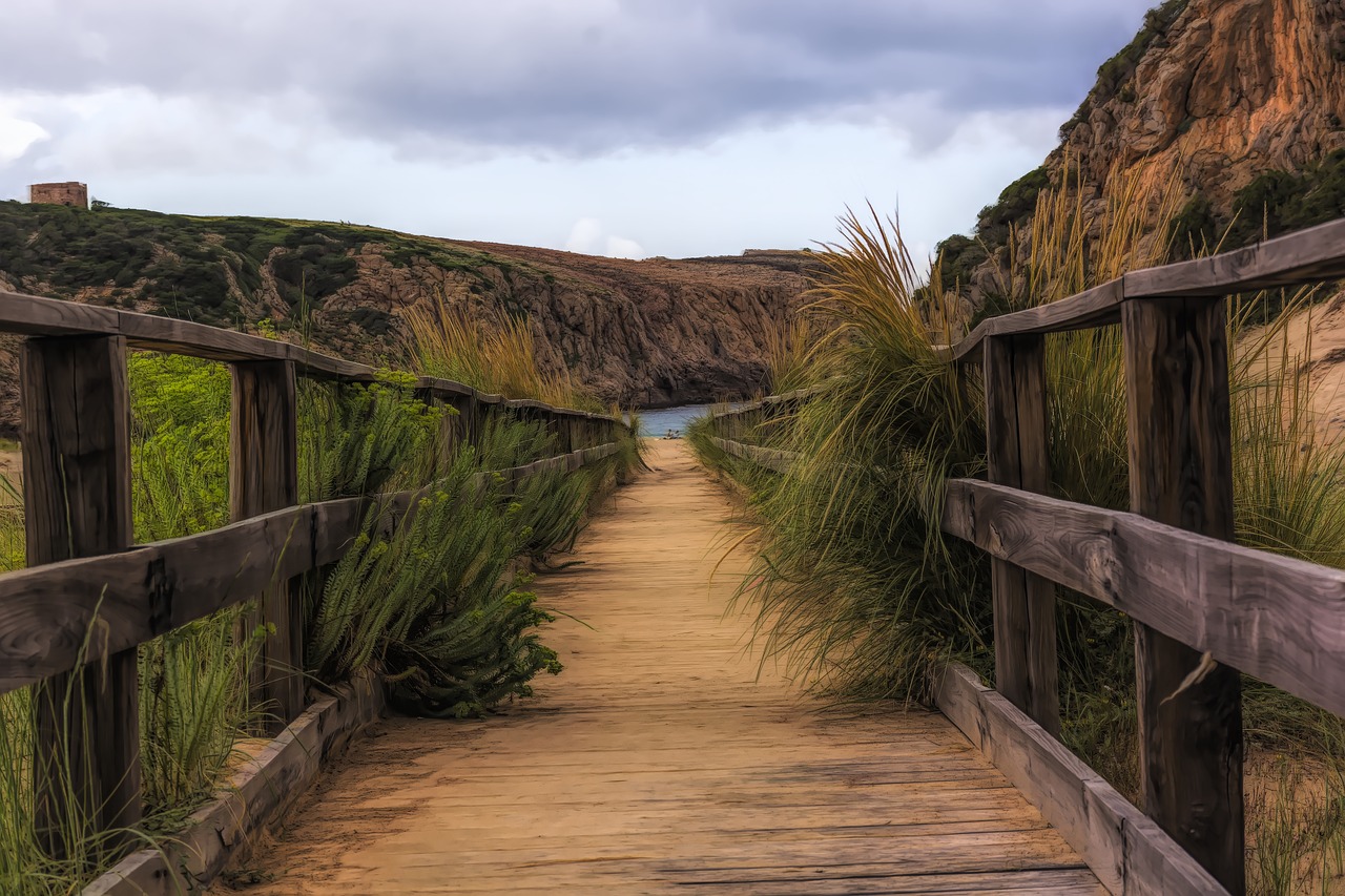 beach  path  sand free photo