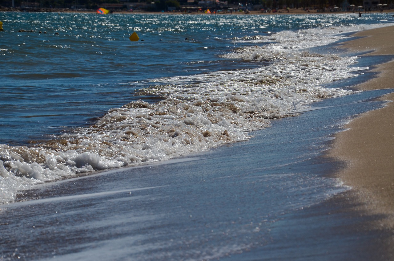 beach  sand  summer free photo