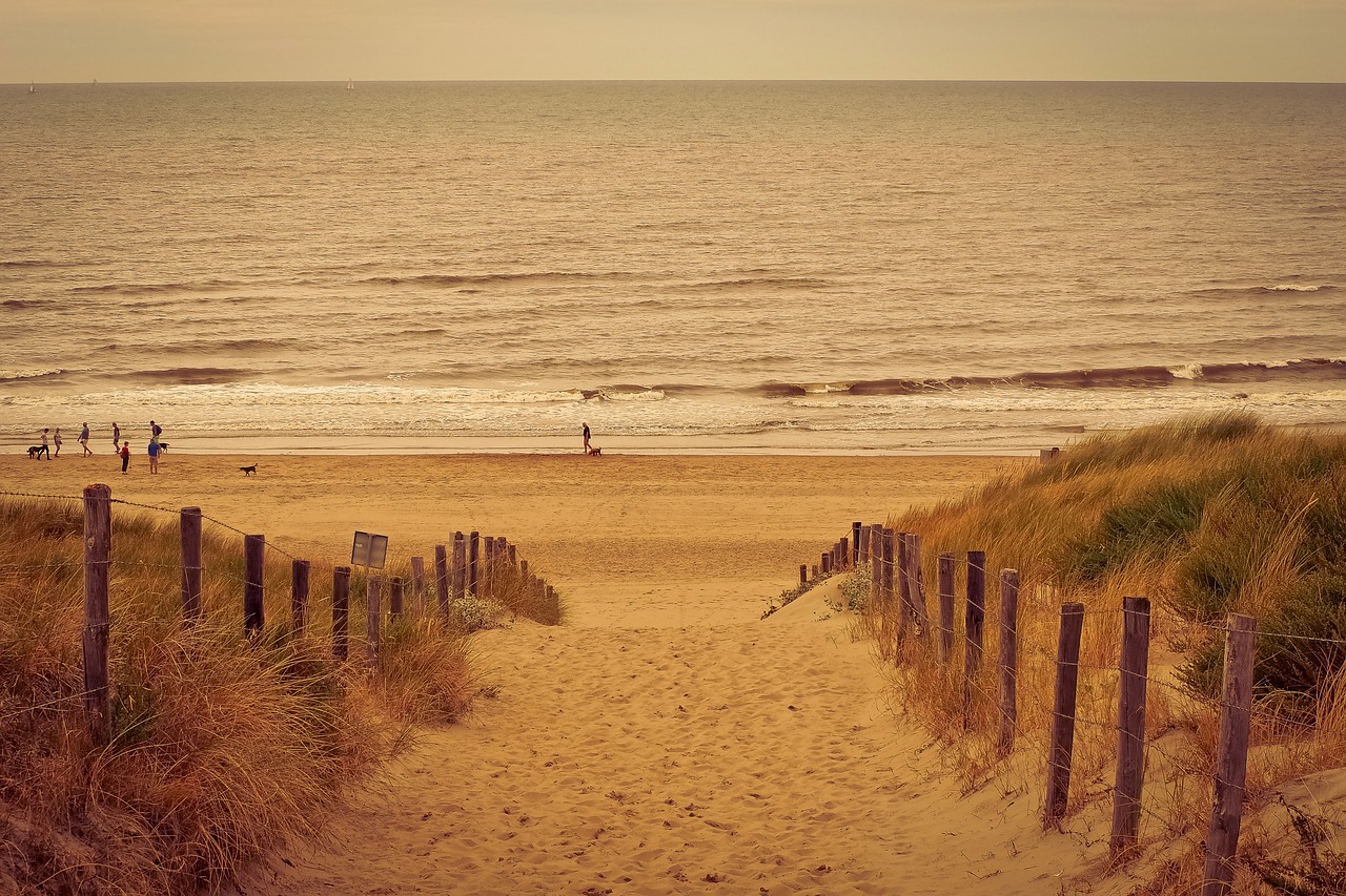 Trail on Sand. Coastal - Summer Eyes. Boat Trail on Sand. Sandy Trail.