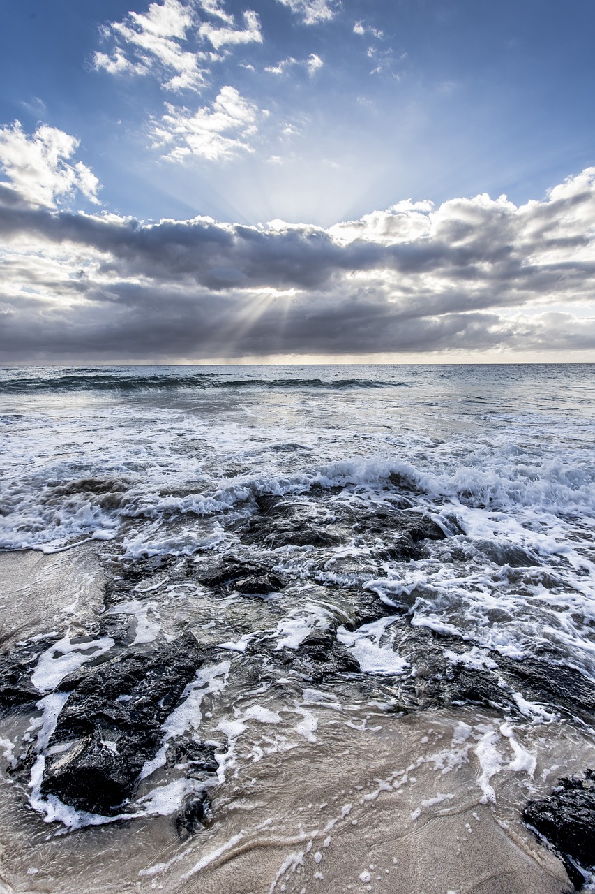 beach  waves  sea free photo