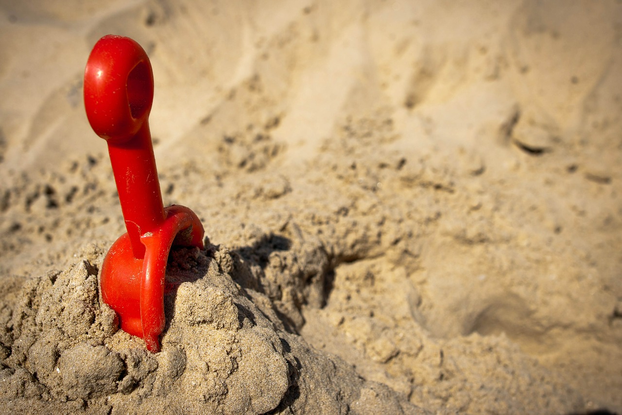 beach sand sunlight free photo