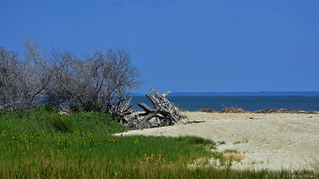 beach  blue  green free photo