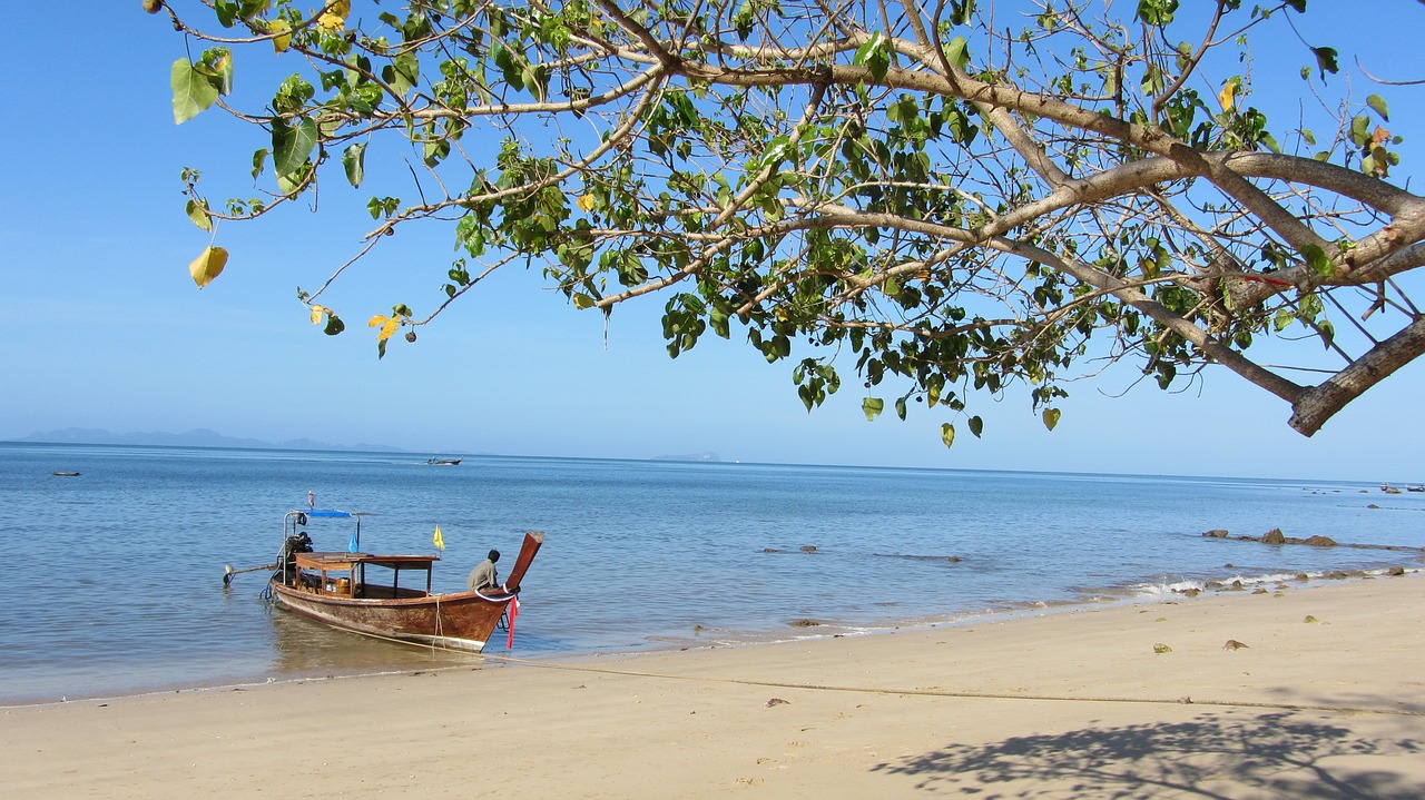 beach  tropic  thailand free photo