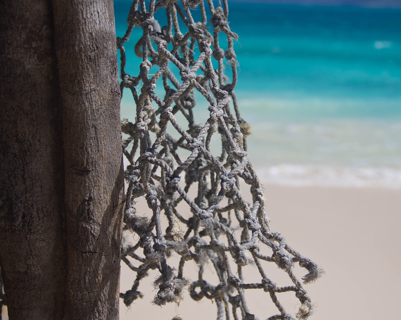 beach  rope  net free photo