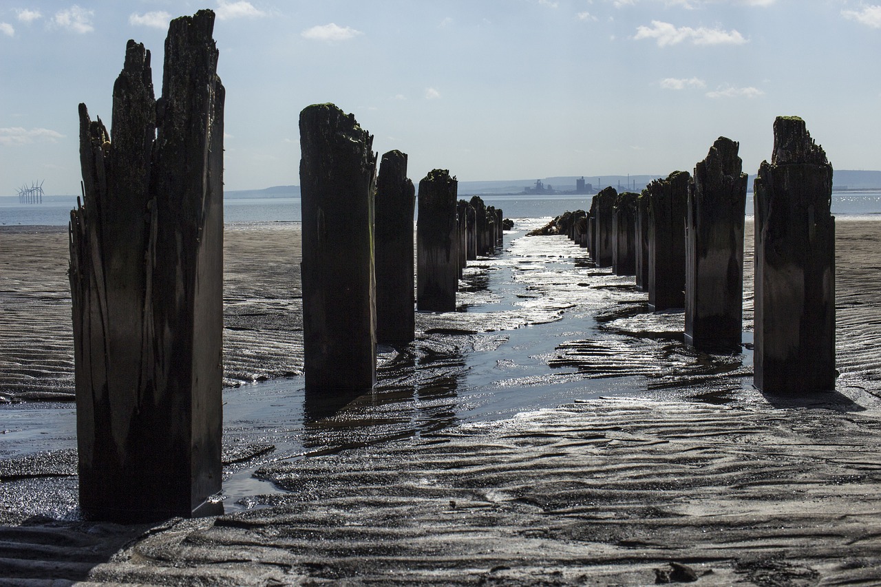 beach  posts  old pier free photo